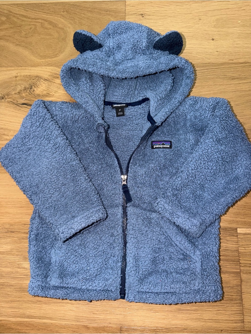 Patagonia Kids Light Blue Sherpa Hoodie with Bear Ears
